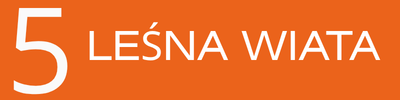 5 - LEŚNA WIATA